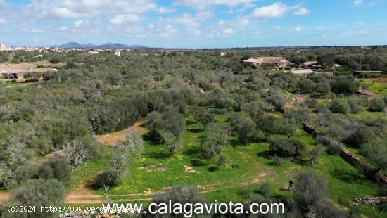 Terreno extraordinario con vistas a Cabrera - BALEARES