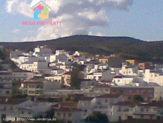  Se vende local comercial en Guadiaro - CADIZ 