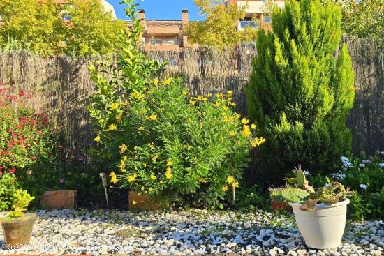 Piso con magnífico jardín en la zona de Plaça Catalunya - BARCELONA