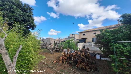  TERRENO EDIFICABLE EN LLUBÍ - BALEARES 