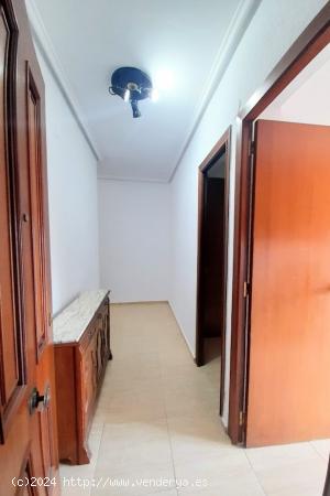 ALQUILER DE VIVIENDA EN MONCADA - VALENCIA