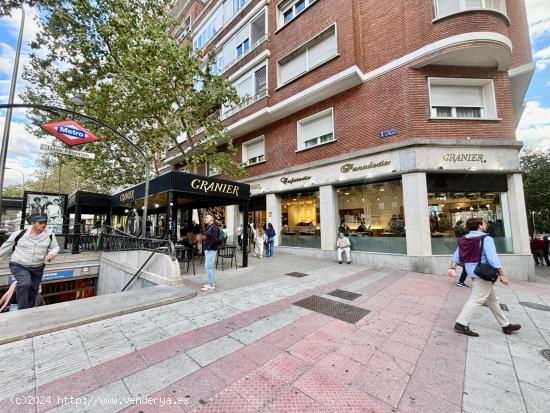 Restaurante de diseño con terraza - MADRID