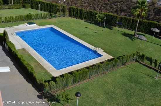  Piso en alquiler en Mijas (Málaga) 