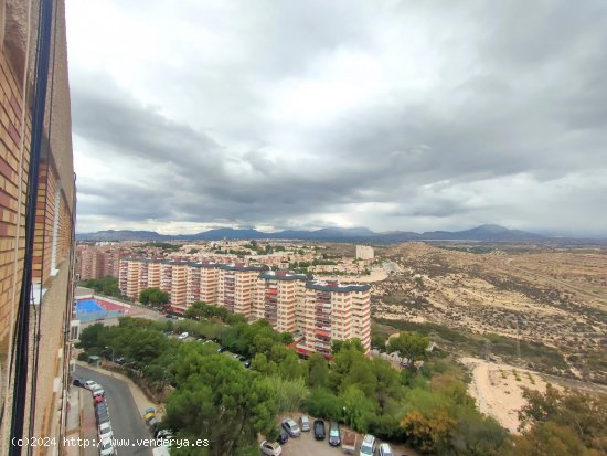 Piso en venta en Alicante (Alicante)