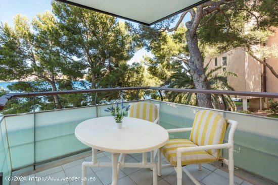 Apartamento en alquiler en Calvià (Baleares)