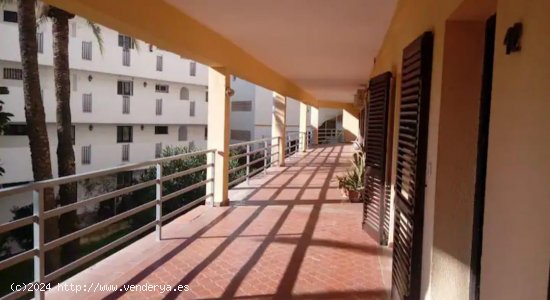 Apartamento en alquiler en Torremolinos (Málaga)