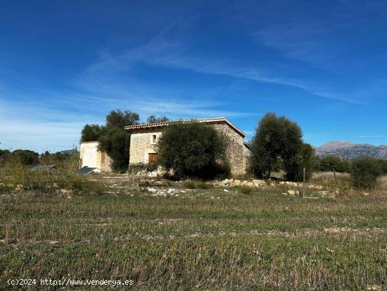  FINCA RUSTICA EN INCA - BALEARES 