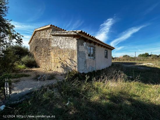 FINCA RUSTICA EN INCA - BALEARES