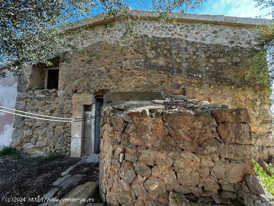 FINCA RUSTICA EN INCA - BALEARES