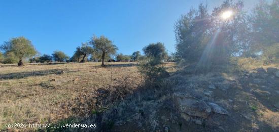 FINCA EN TOLOX - MALAGA