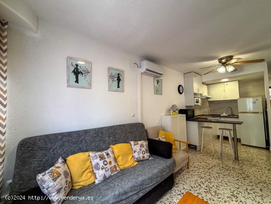 Apartamento en alquiler en Pilar de la Horadada (Alicante)