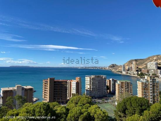 Amplia vivienda con estupendas vistas al mar en la zona de la Albufereta. - ALICANTE