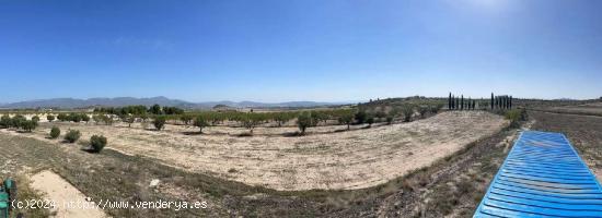 Terreno rústico en venta en Moratalla - MURCIA