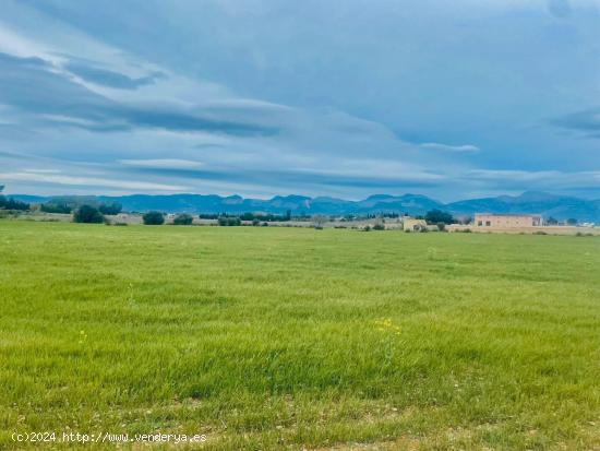  Terreno rural en Sencelles - BALEARES 