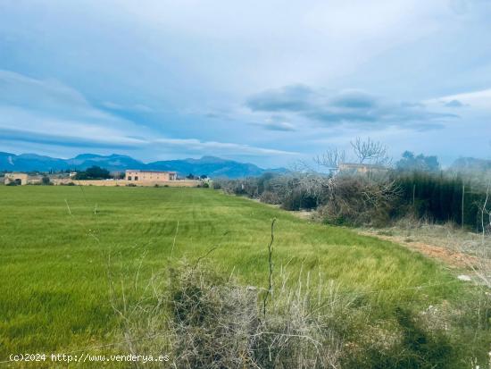 Terreno rural en Sencelles - BALEARES