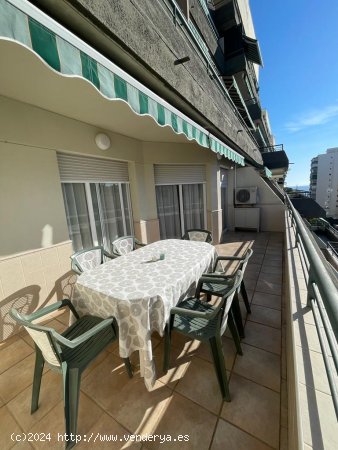 Apartamento en alquiler en Fuengirola (Málaga)