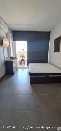 Estudio en alquiler en Torremolinos (Málaga)