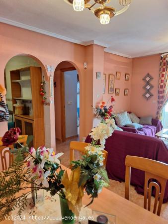 Bonito y Acogedor Apartamento de 2 Dormitorios en Torrevieja - ALICANTE