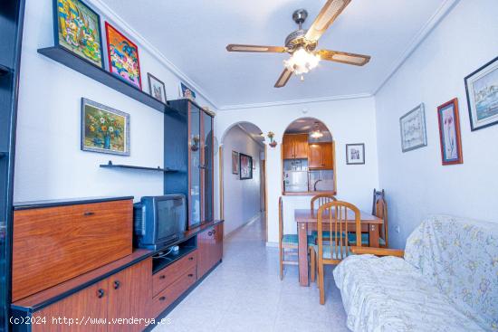  APARTAMENTO DE 1 DORMITORIO 1 BAÑO EN CENTRO DE TORREVIEJA ( ALICANTE ) - ALICANTE 