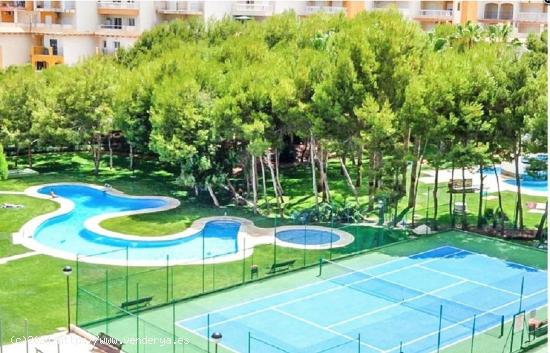 Apartamento con vista al mar en Campoamor - ALICANTE