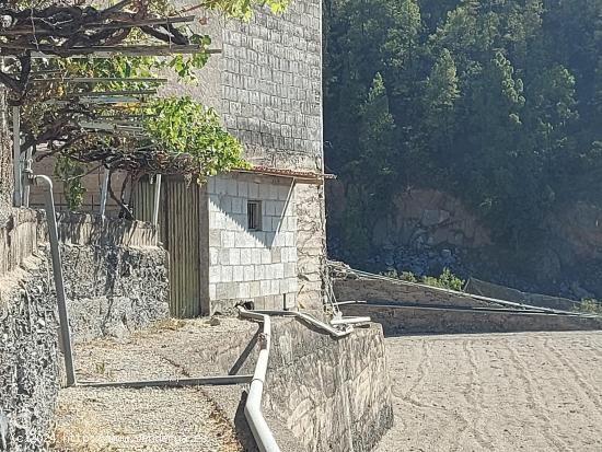 ¡Oportunidad única! Finca de Papas en Vilaflor con Vistas Despejadas y Agua Propia - SANTA CRUZ DE