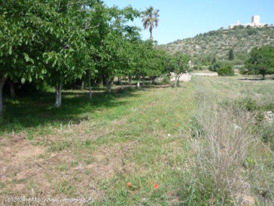 Casa rural en venta  en Ulldecona - Tarragona