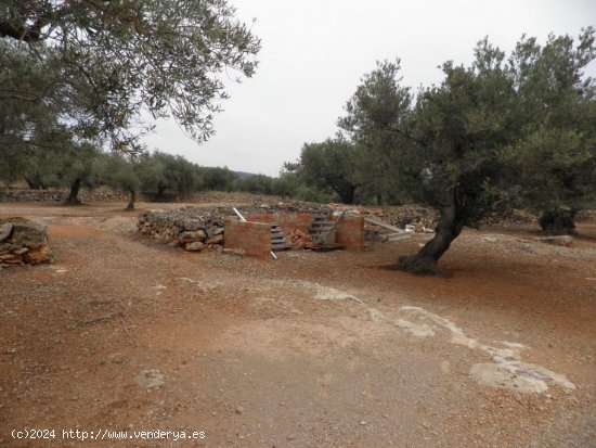 Casa rural en venta  en Ampolla, L - Tarragona