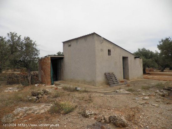 Casa rural en venta  en Ampolla, L - Tarragona