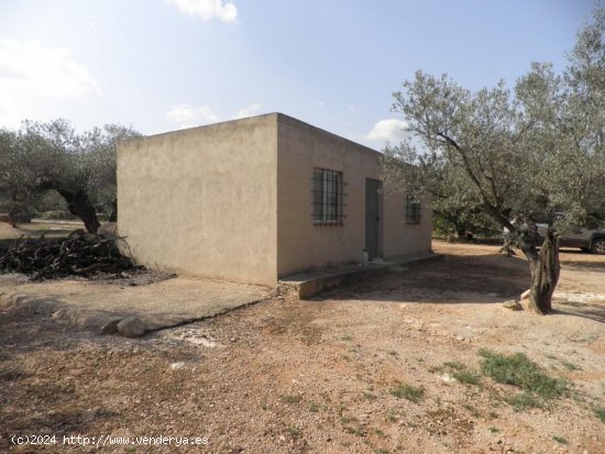  Casa rural en venta  en Mas de Barberans - Tarragona 