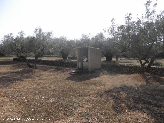 Casa rural en venta  en Mas de Barberans - Tarragona