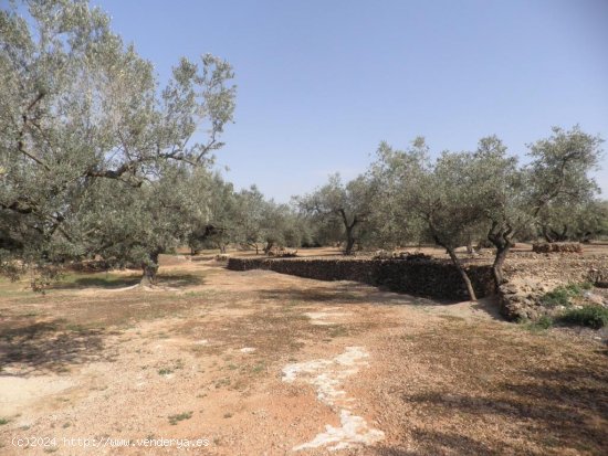 Casa rural en venta  en Mas de Barberans - Tarragona