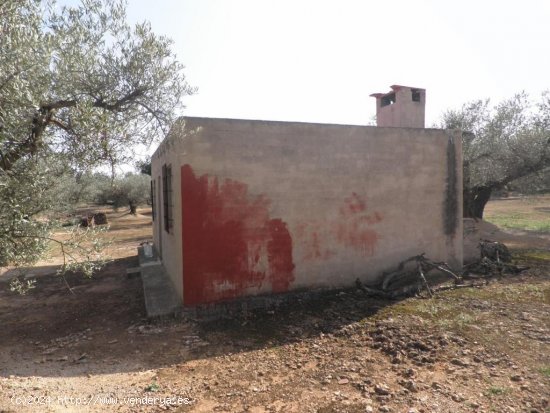 Casa rural en venta  en Mas de Barberans - Tarragona