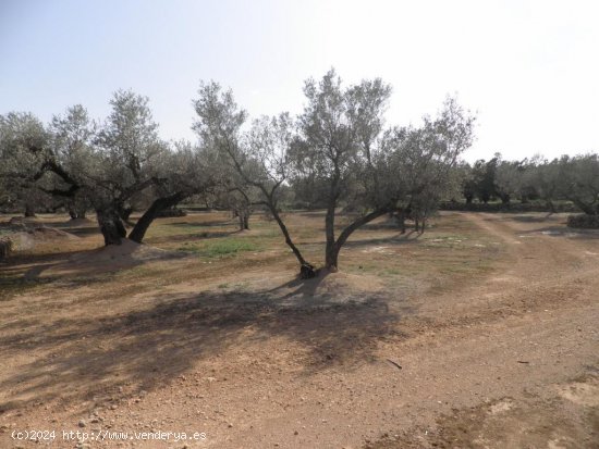 Casa rural en venta  en Mas de Barberans - Tarragona