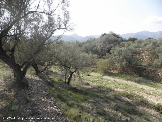 Casa rural en venta  en Mas de Barberans - Tarragona