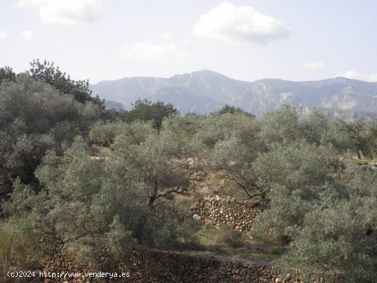 Casa rural en venta  en Mas de Barberans - Tarragona