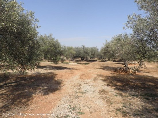 Casa rural en venta  en Mas de Barberans - Tarragona