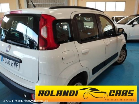 FIAT Panda en venta en Palma de Mallorca (Islas Baleares) - Palma de Mallorca