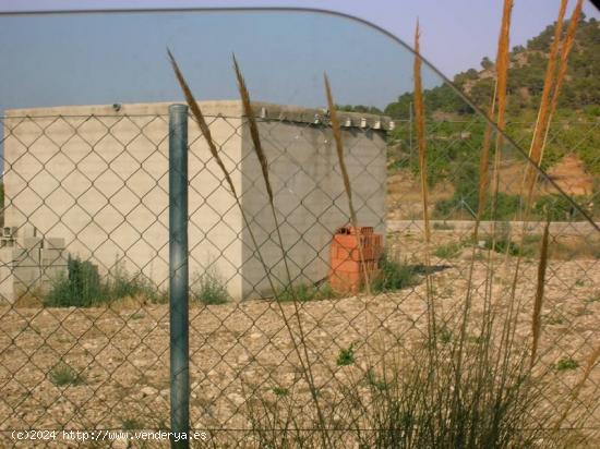 SE VENDE ALBERGUE EN LA ROMANA - ALICANTE