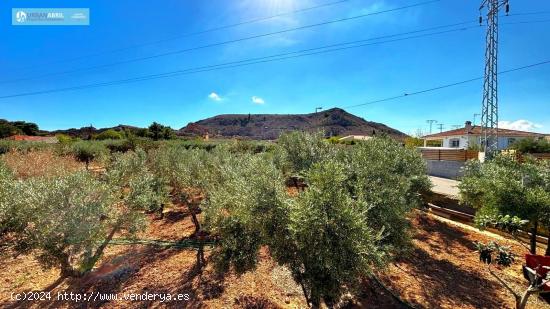  TERRENO URBANO EDIFICABLE - ALICANTE 