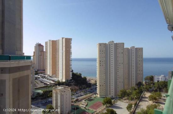  Reformado piso con 2 dormitorios y amplia terraza con vistas al mar en zona Poniente Playa. - ALICAN 