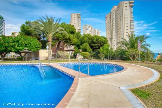 Reformado piso con 2 dormitorios y amplia terraza con vistas al mar en zona Poniente Playa. - ALICAN