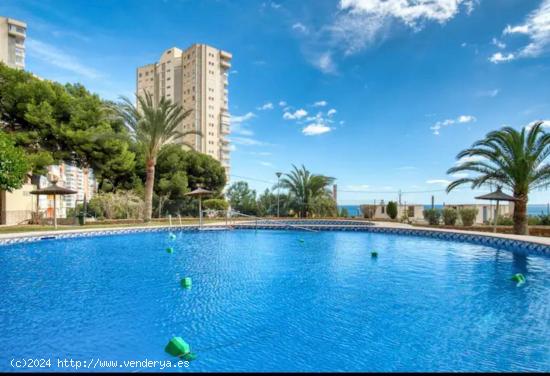 Reformado piso con 2 dormitorios y amplia terraza con vistas al mar en zona Poniente Playa. - ALICAN