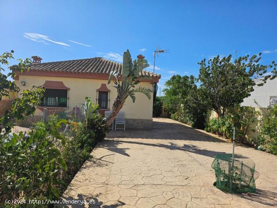  Precioso chalet con piscina en Villanueva Golf ¡¡ÚRBANO!! - CADIZ 