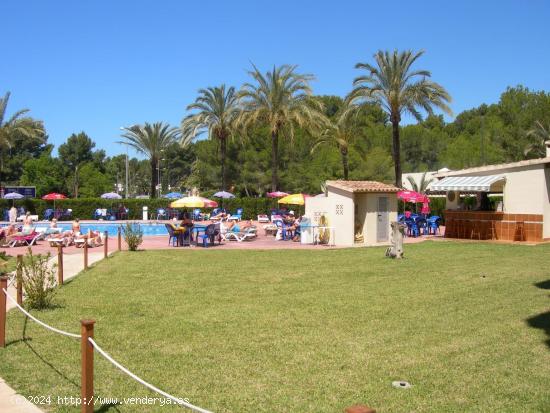 Estudio ubicado en Costa de la Calma - BALEARES