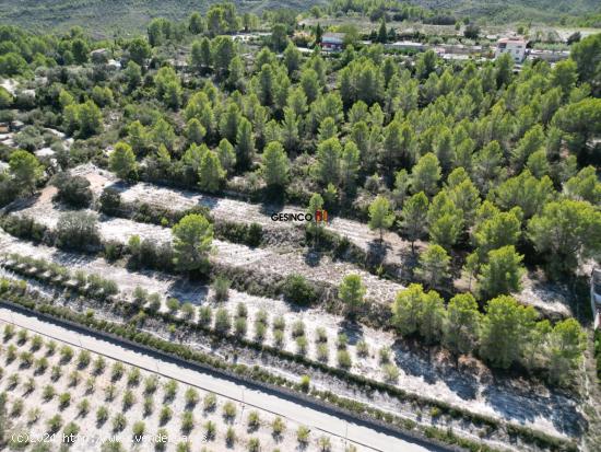  PARCELA RÚSTICA EN BIXQUERT...NATURALEZA Y TRANQUILIDAD - VALENCIA 