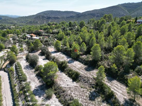 PARCELA RÚSTICA EN BIXQUERT...NATURALEZA Y TRANQUILIDAD - VALENCIA