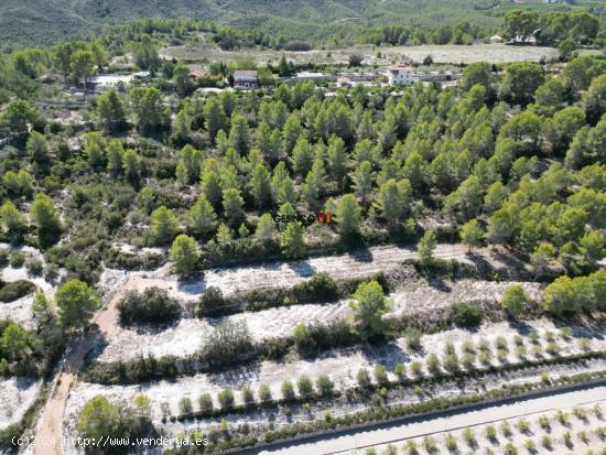 PARCELA RÚSTICA EN BIXQUERT...NATURALEZA Y TRANQUILIDAD - VALENCIA