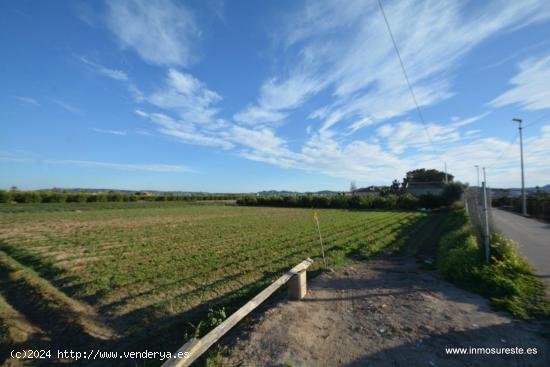 Terreno rústico en la pedanía de Molins en Orihuela, 4.400 m2. de superficie. - ALICANTE