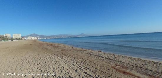 PLAYA SAN JUAN, 1ª LINEA, ALQUILER TEMPORAL - ALICANTE