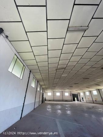 Oportunidad de Alquiler: Nave de 1.335 m² con Oficina en Murcia - MURCIA